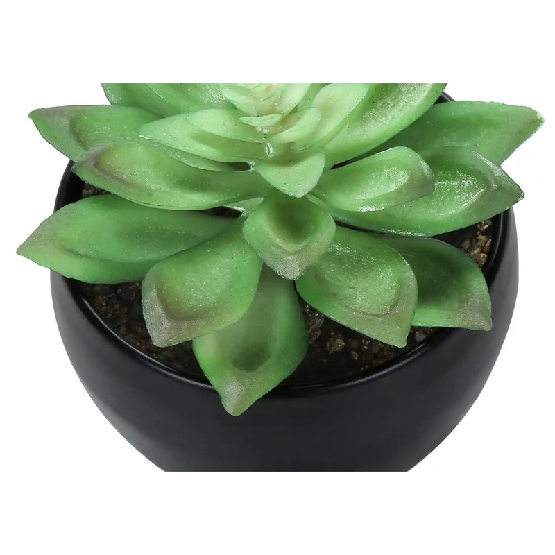 Artificial Succulent Plants Set of 3, 6' Tall, Green Faux Indoor Decor in Black Melamine Pots, Tabletop Greenery for Home Office