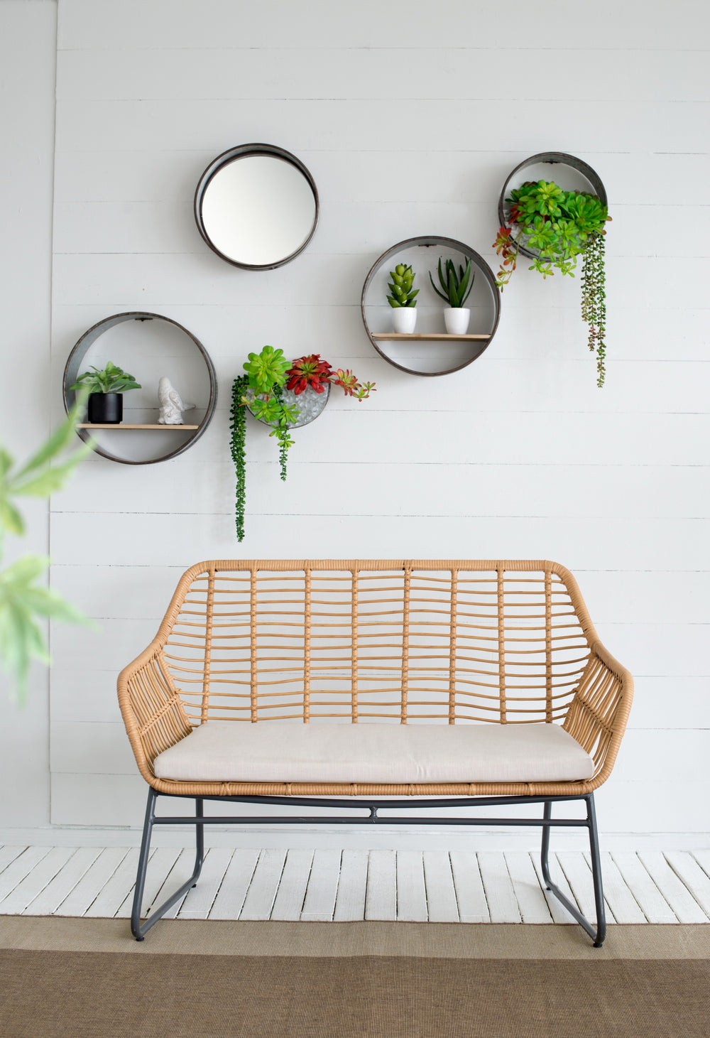 S/5 Zale Round Wall Planters SHELF Media 6