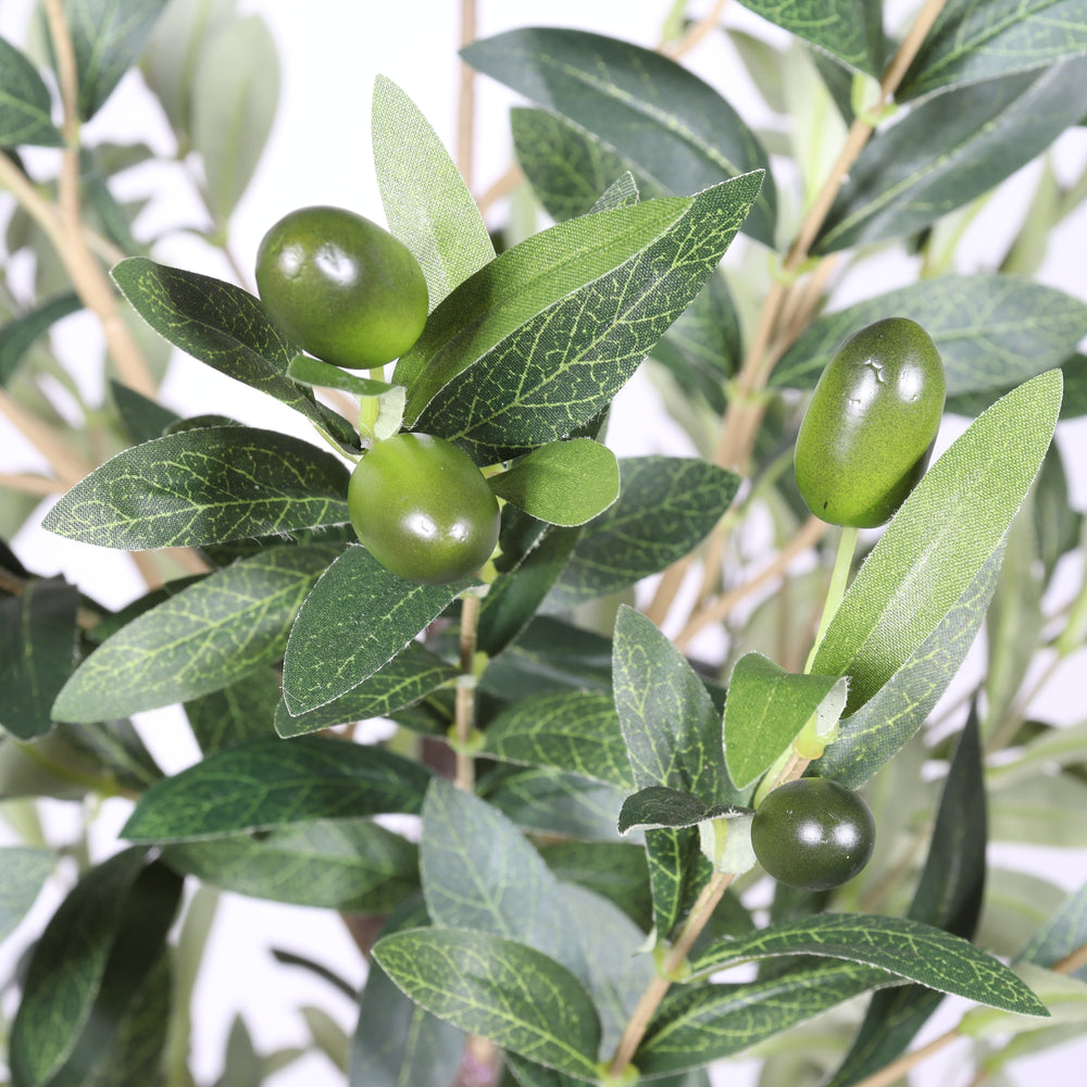 6FT Artificial Olive Tree in Black Plastic Pot, 1pc/set Media 11