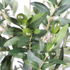 6FT Artificial Olive Tree in Black Plastic Pot, 1pc/set perspective