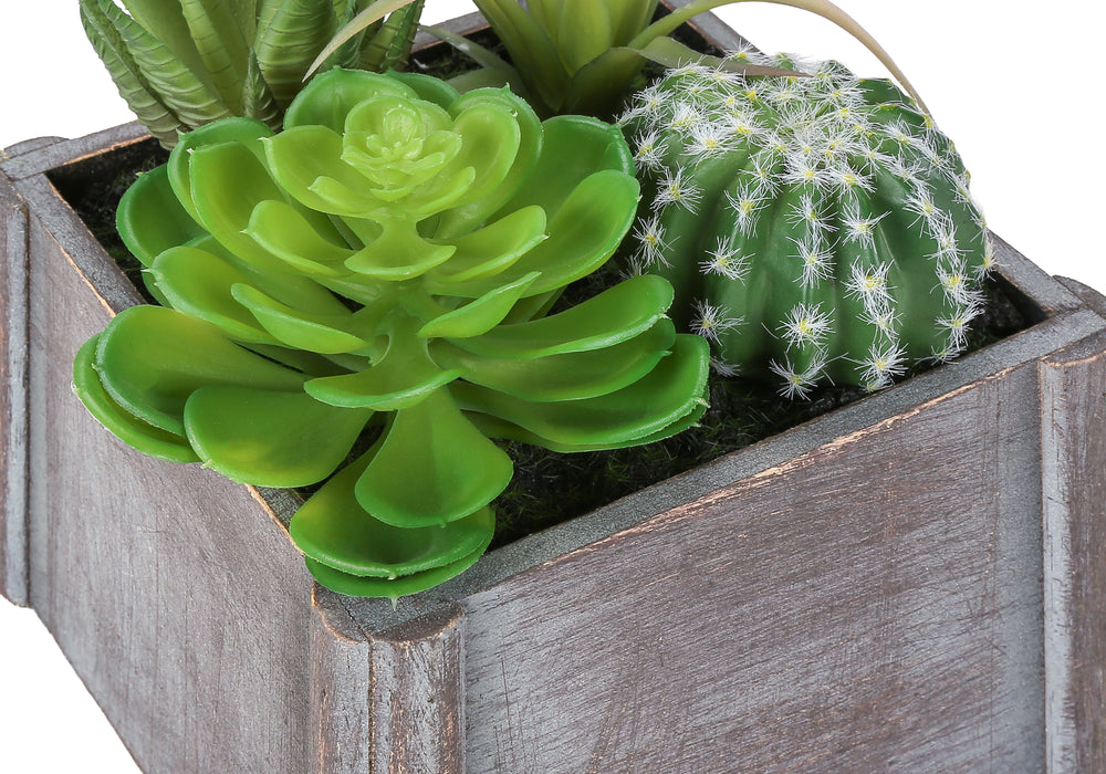 Artificial Plant, Set Of 2, 8' Tall, Succulent, Table, Grey Wooden Pots, Contemporary, Modern Media 3