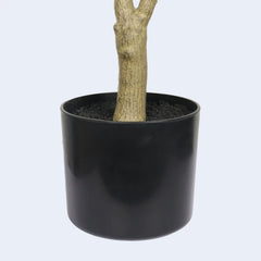 5' Artificial  Olive Tree in Black Plastic Pot, 1pc/set perspective