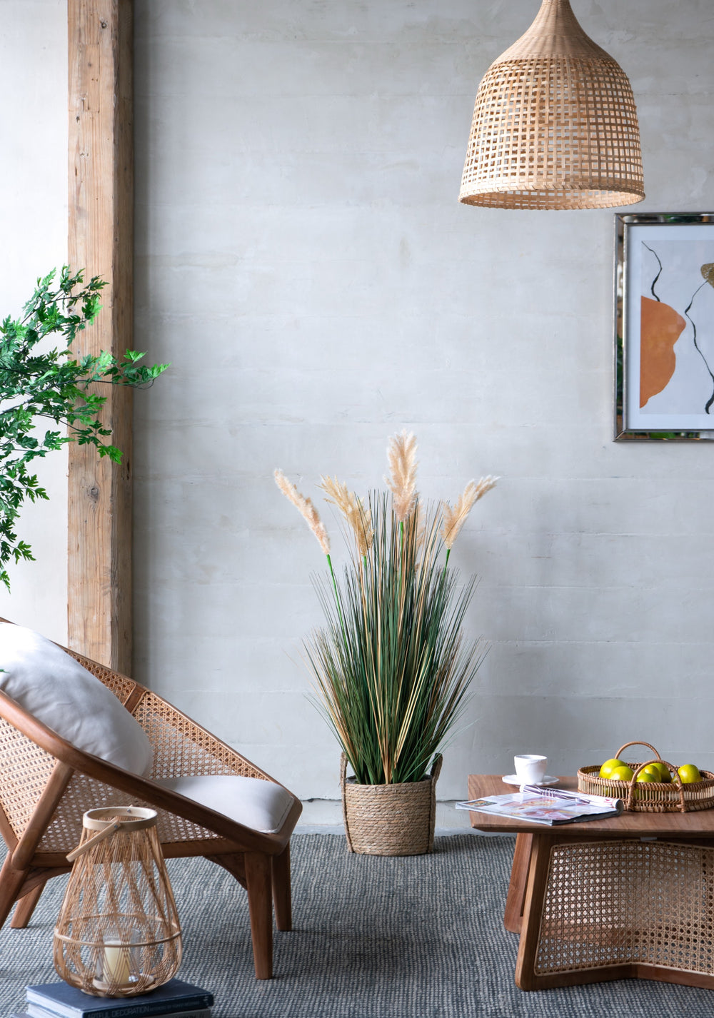 D14x45'H Potted Pampas Grass Plant Media 2