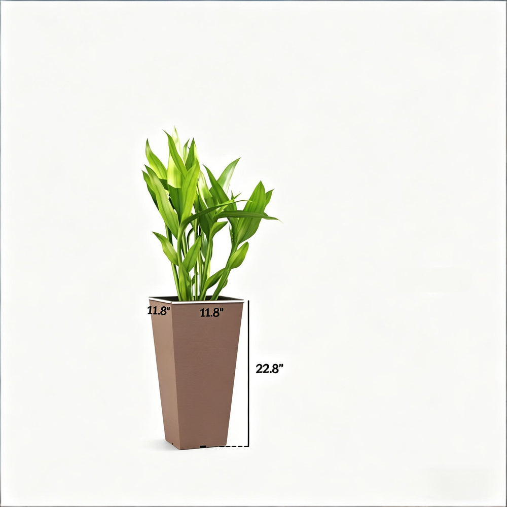 Chic Planters,Set of 2 Flower Planters,Outdoor Tall Planters Media 3