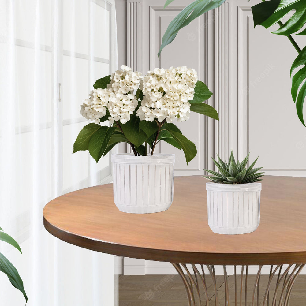 Handmade White Ceramic Planter Set of 4, 6/8/10/12 Inch Diameter, Vertical Line Pattern for Succulents & Cacti, Indoor/Outdoor Use on Windowsill & Bookshelf, Breathable Material Media 6
