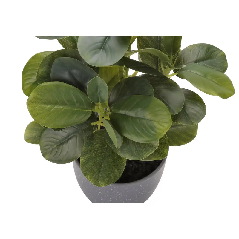 Artificial Ficus Elastica Plant Set of 2, 14 Inch Tall Indoor Decorative Greenery with Grey Cement-Look Pots, Plastic Faux Green Leaves