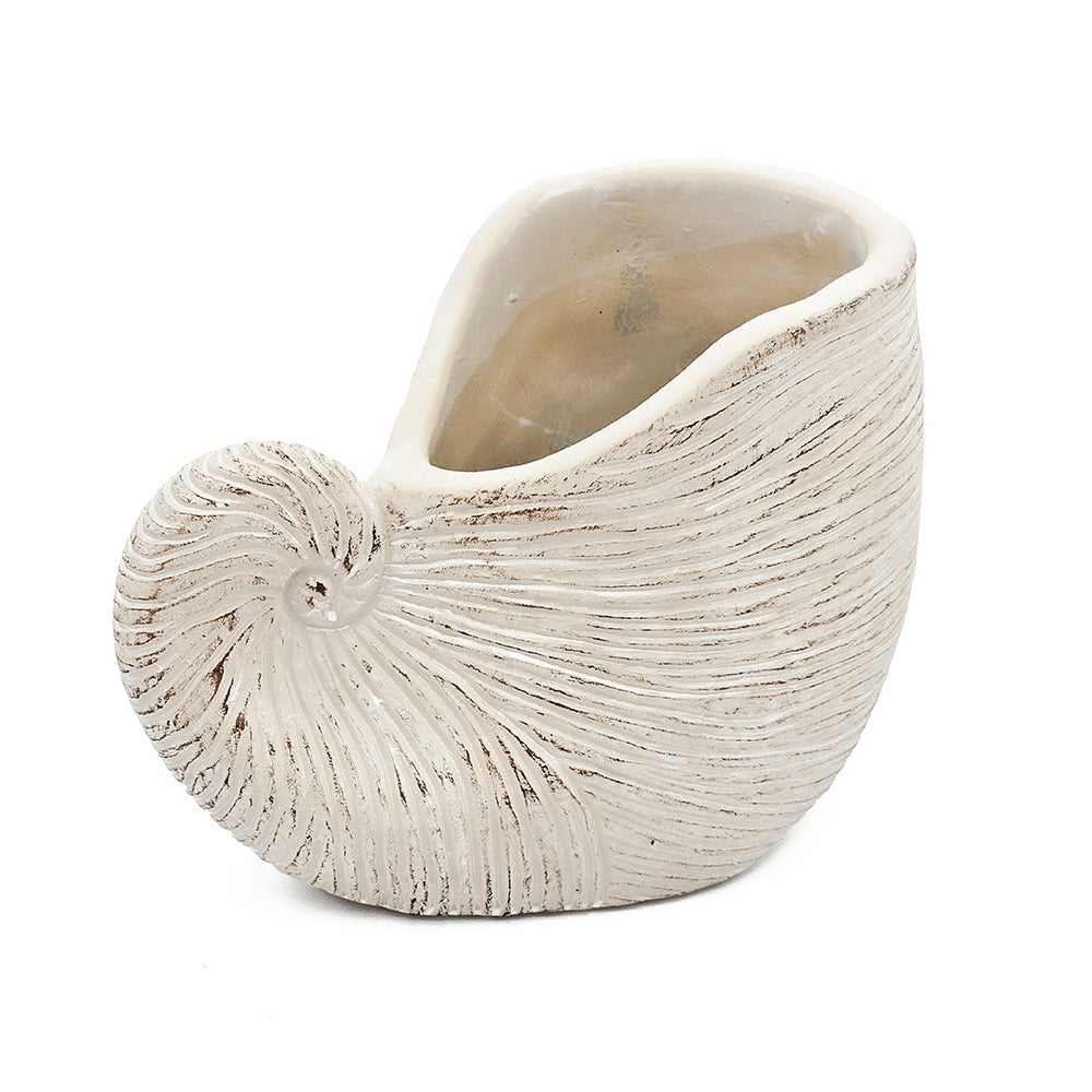 8.5x5.5x6.3' Sand and Cement Nautilus Shell Planter with Textured Beige Finish Media 7