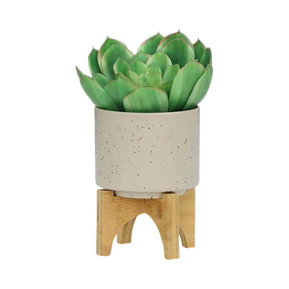 S/2 5/8' PLANTER W/ WOOD STAND, MATTE BEIGE Media 4