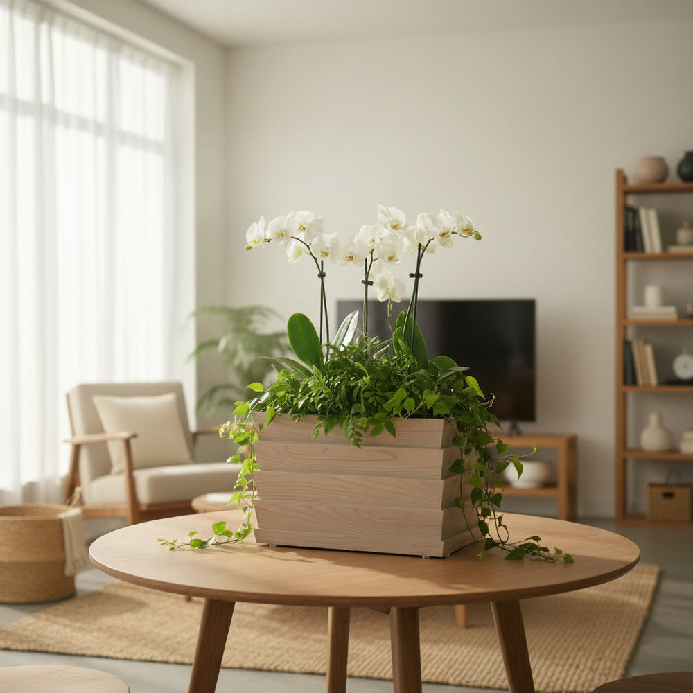 Rectanglar Ridge Box Planter Short - Ash Brown Media 4