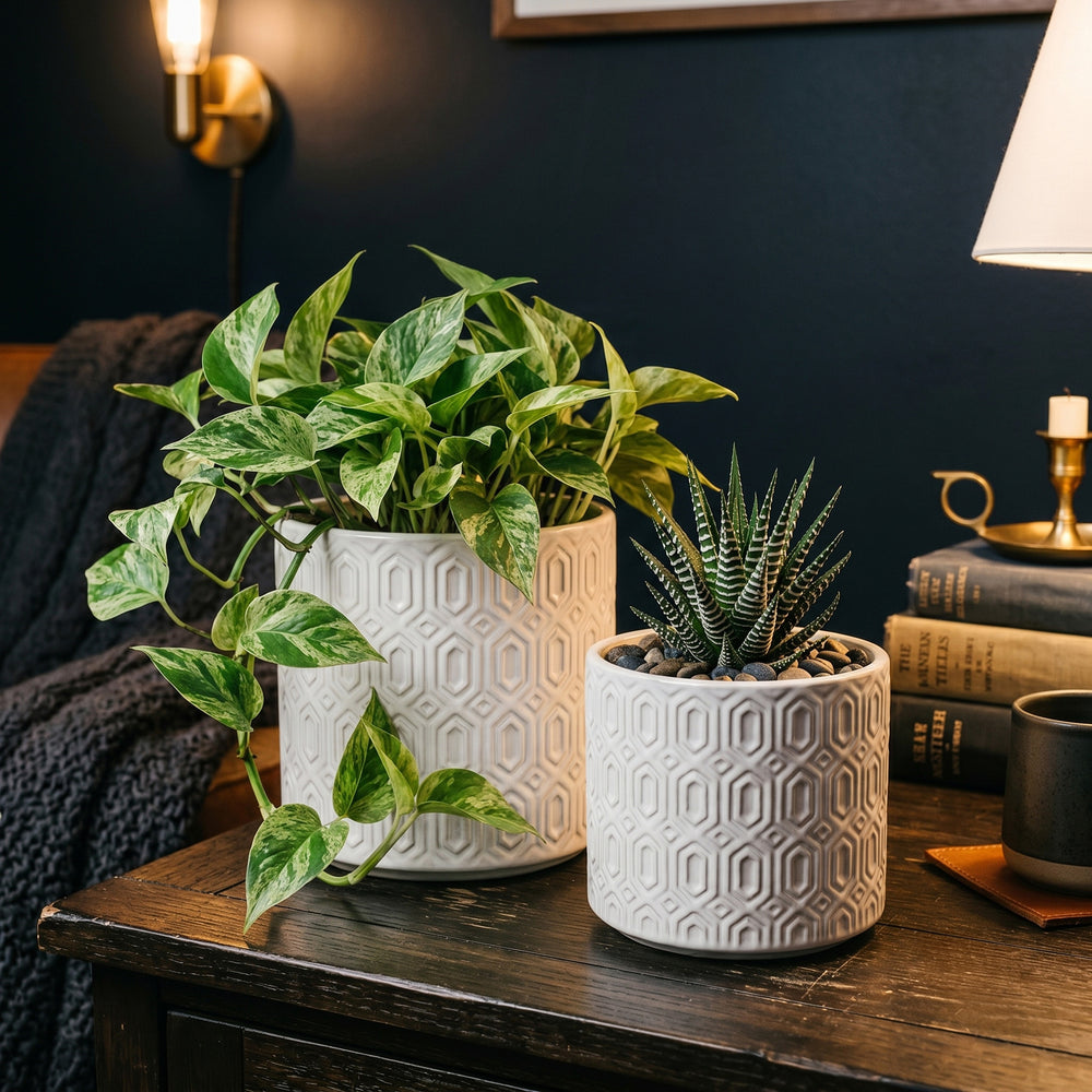 S/2 White Ceramic Planters with Geometric Motifs Media 6