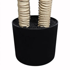 6' Artificial Dracaena Tree with Black Plastic Pot perspective