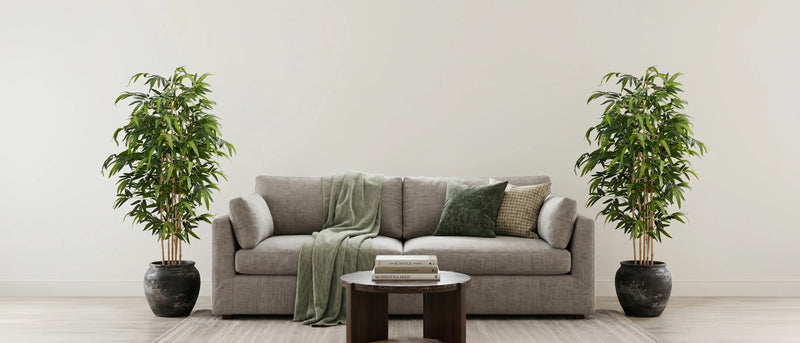 The Minimalist