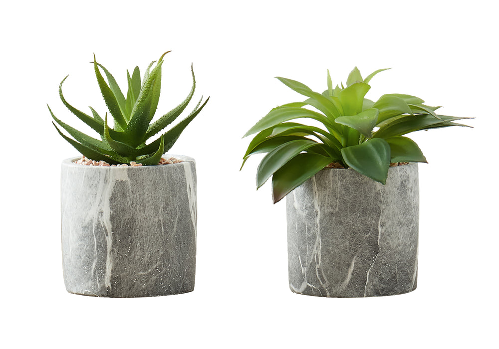 Artificial Plant, 6' Tall, Succulent, Indoor, Faux, Fake, Table, Greenery, Potted, Set Of 2, Decorative, Green Leaves, Grey Cement Pots Media 2