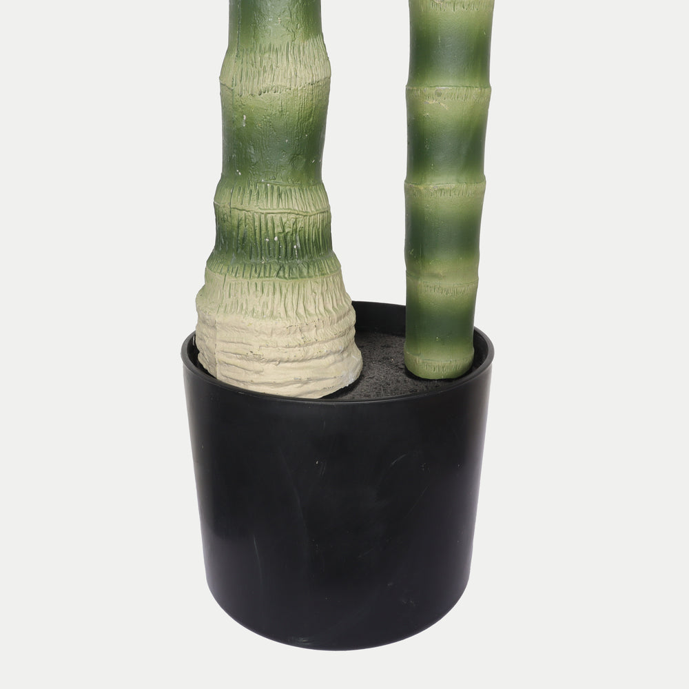 6FT Artificial Palm Tree with Black Plastic Pot, Tropical Fake Plant for Indoor Outdoor Decoration, Faux Palm, 1pc/set Media 12