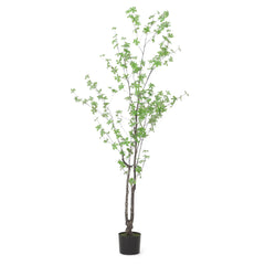 180CM ARTIFICIAL DISC LEAF TREE perspective