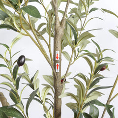 5' Artificial  Olive Tree in Black Plastic Pot, 1pc/set perspective
