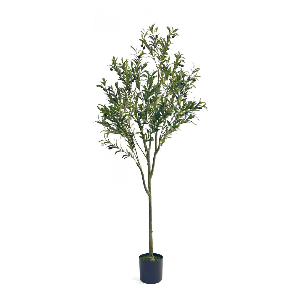180CM ARTIFICIAL OLIVE TREE Media 1