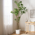 240CMARTIFICIAL PIERIS TREE 74348.00 Default   DTY Store