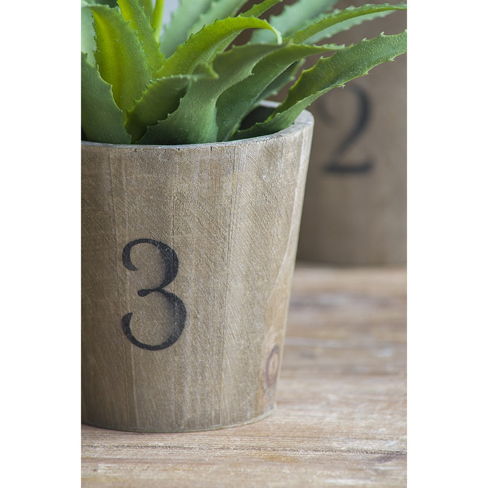 Set of 3 Thornton Flower Planter, L:8.3x8.3x6.5', M:6.8x6.8x6.1', S:5.3x5.3x5.1' Media 3