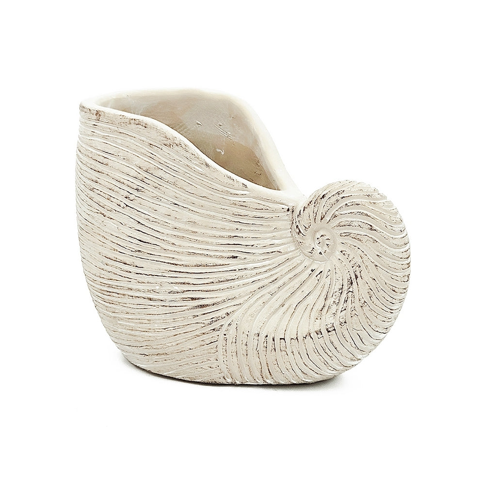 8.5x5.5x6.3' Sand and Cement Nautilus Shell Planter with Textured Beige Finish Media 3