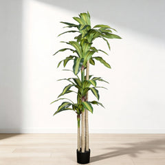 6' Artificial Dracaena Tree with Black Plastic Pot perspective