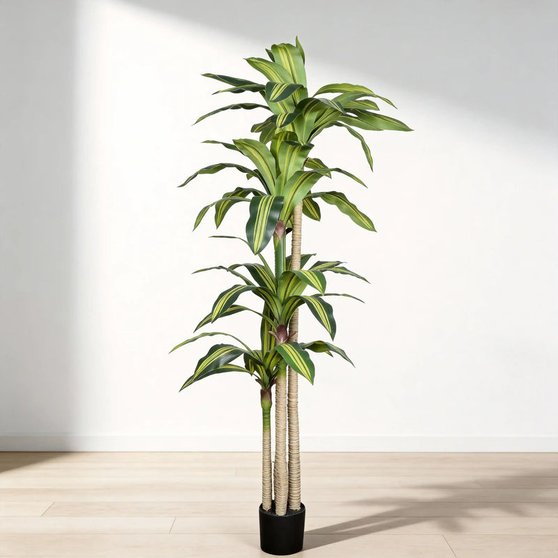 6' Artificial Dracaena Tree with Black Plastic Pot