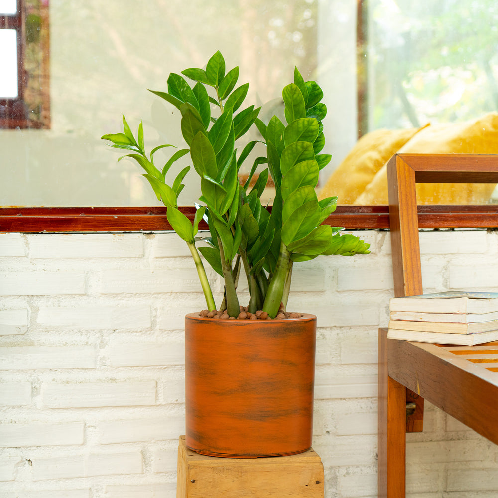 7.8 in. Painted Plastic Self-watering Planter Pot Media 2