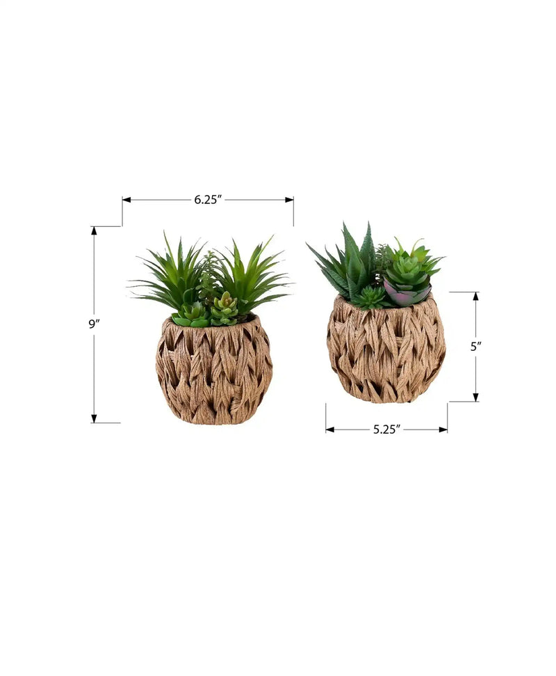 Artificial Plant, Set Of 2, 9' Tall, Succulent, Table, Brown Woven Basket, Contemporary, Modern