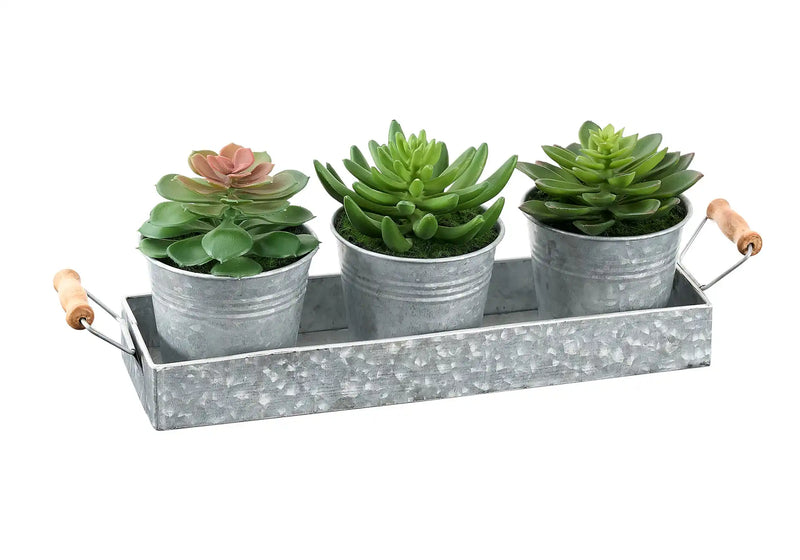 Artificial Plant, Set Of 3, 6' Tall, Succulent, Table, Silver Metal Pots, Contemporary, Modern
