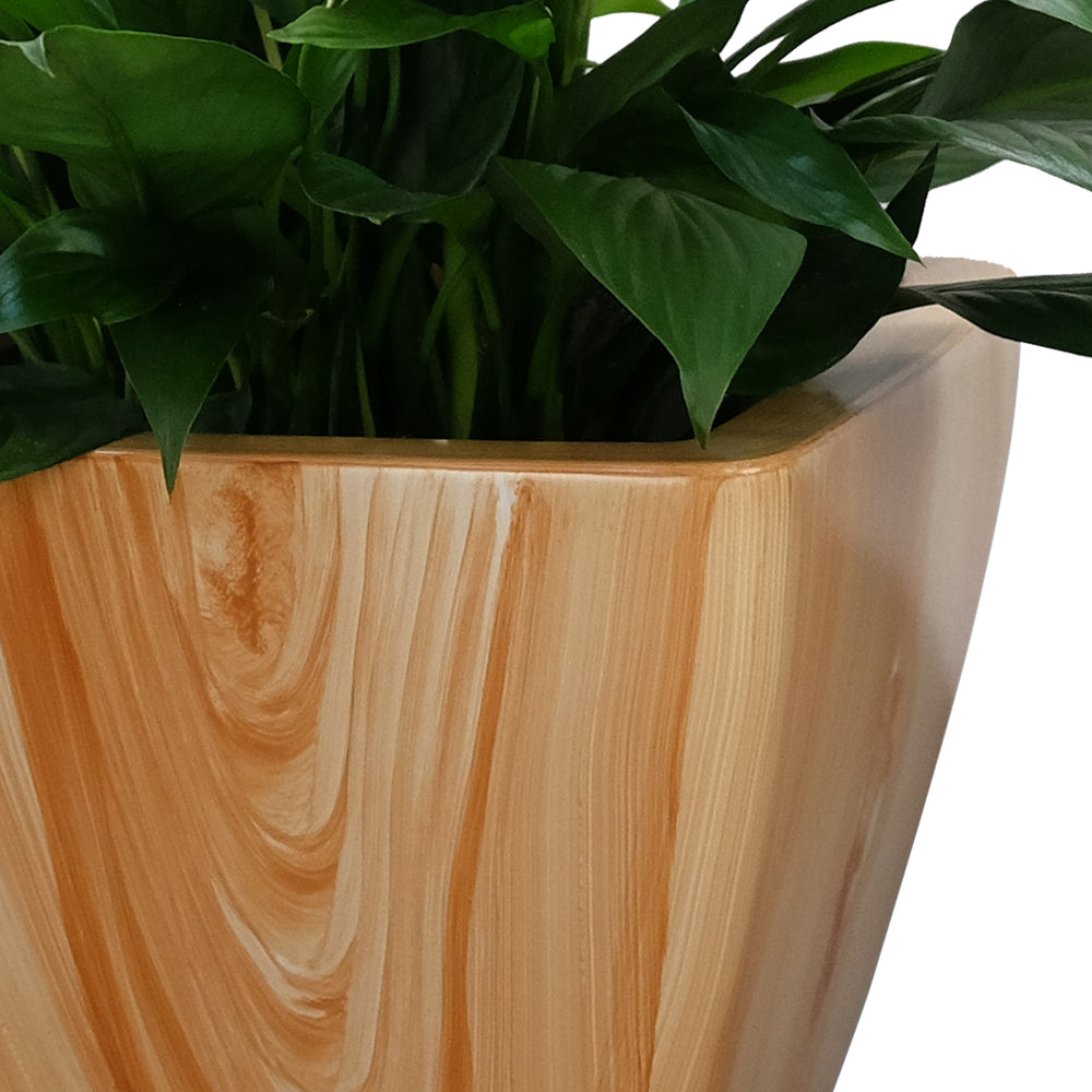 2-Pack Smart Self-watering Planter Pot for Indoor and Outdoor - Light Wood - Square Cone Media 2