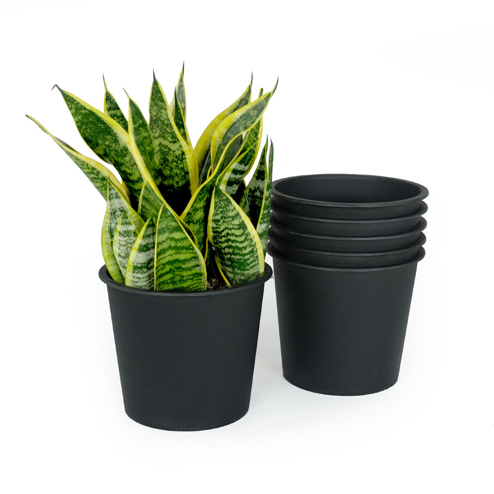 5' Round Nursery Plant Pot - Garden Plastic Pots with Drainage (5-Pack) Media 1