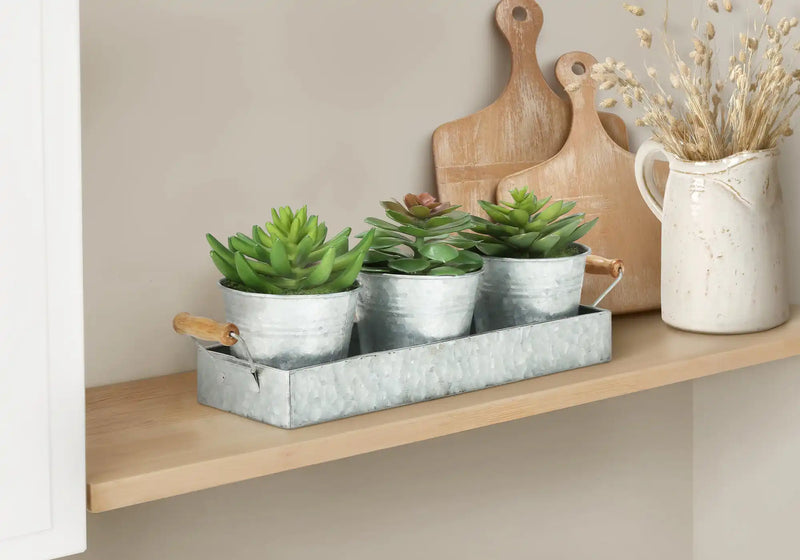 Artificial Plant, Set Of 3, 6' Tall, Succulent, Table, Silver Metal Pots, Contemporary, Modern