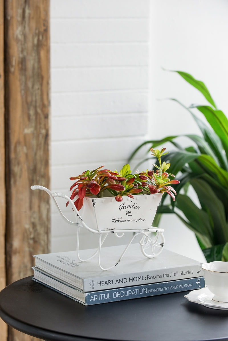 11.5x4x7' White Metal Decorative Disressed Wheelbarrow Planter, Tabletop Decor