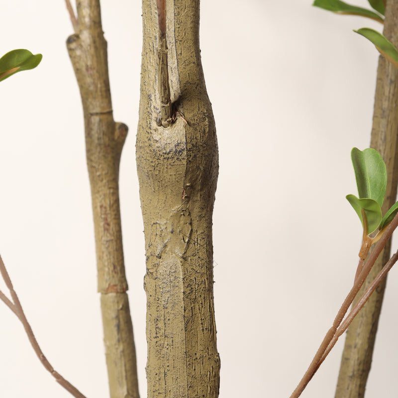 Lifelike Artificial Olive Tree with Black Plastic Pot, Faux Indoor Plant in Green Fabric Leaves, 60-Inch Tall for Home Living Room Decor