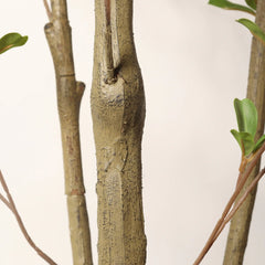 Lifelike Artificial Olive Tree with Black Plastic Pot, Faux Indoor Plant in Green Fabric Leaves, 60-Inch Tall for Home Living Room Decor perspective