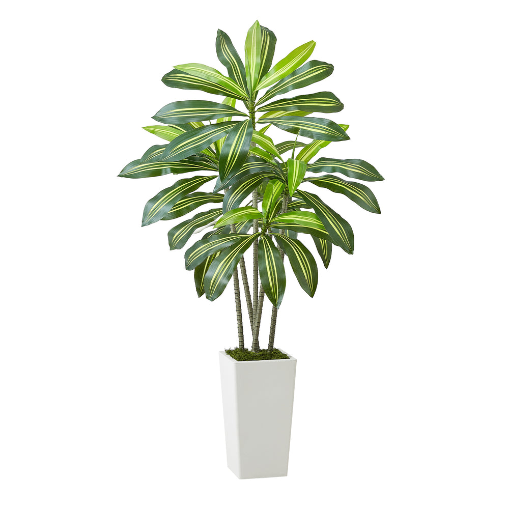 Artificial Dracaena Tree 5 ft, Fake Palm Tropical Plants with White Tall Planter, Faux Floor Silk Plant in Pot, Large Trees for Home Office Living Room Decor House Warming, Indoor Outdoor Media 11