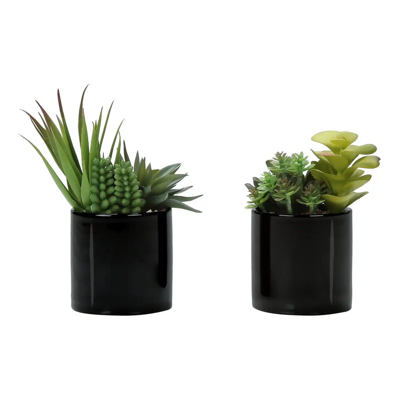 Artificial Succulent Plants Set of 2, Green Faux Indoor Potted Decor in Glossy Black Pots, Realistic Greenery for Table or Shelf