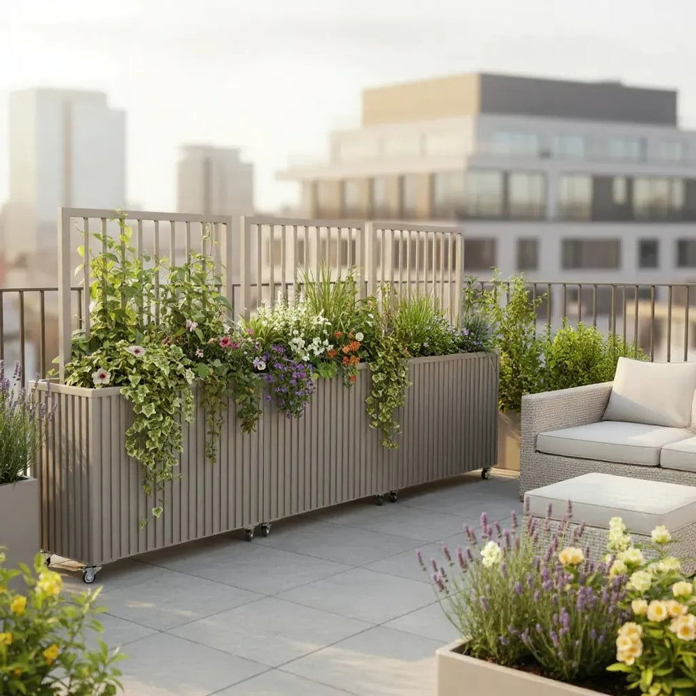 Grove Divider Planter- Grey Brown Media 2