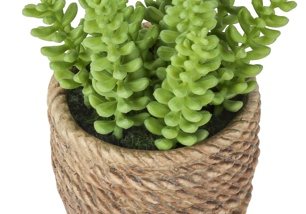 Artificial Plant, Set Of 2, 7' Tall, Succulent, Table, Brown Cement Pots, Contemporary, Modern Media 5