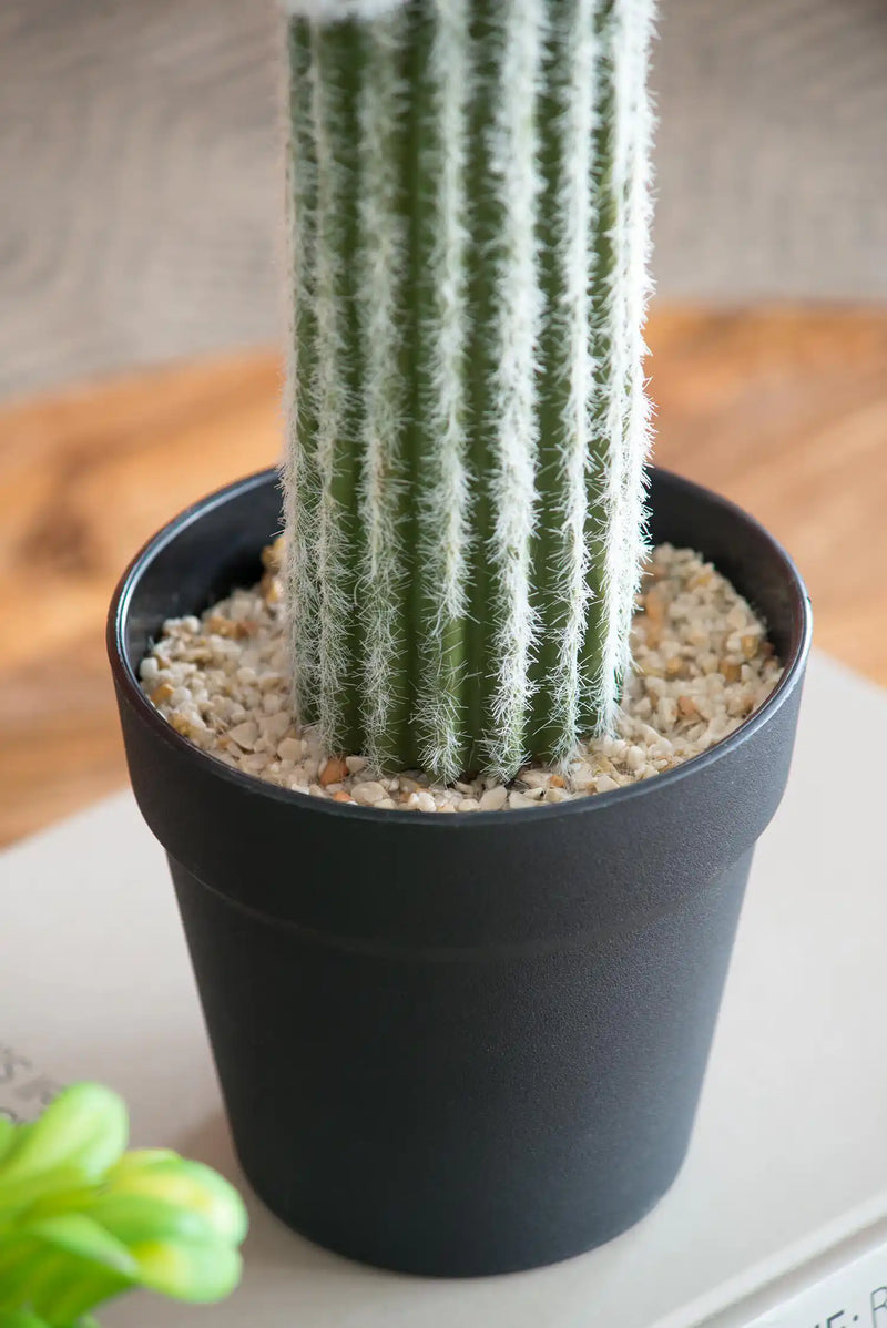 8x5x24.5'H Artificial Saguaro Cactus in Black Pot