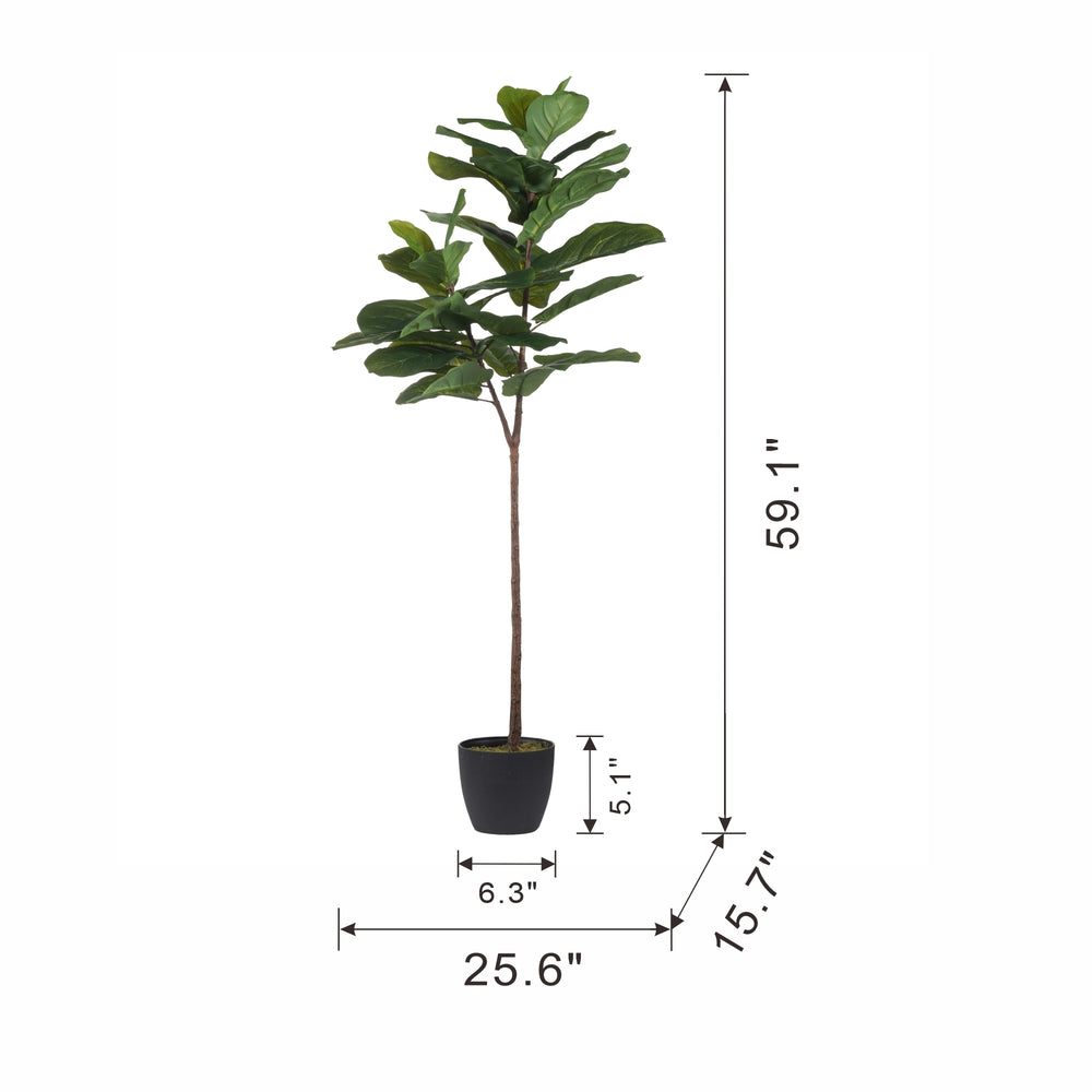 25.5x16x59' Fiddle-Leaf Fig Tree Media 7