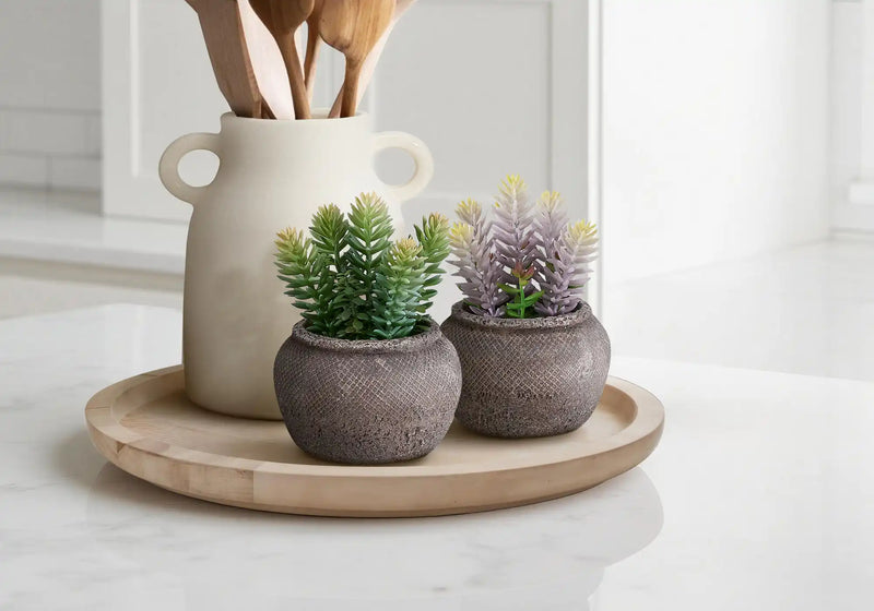 Artificial Plant, Set Of 2, 8' Tall, Succulent, Table, Brown Cement Pots, Contemporary, Modern