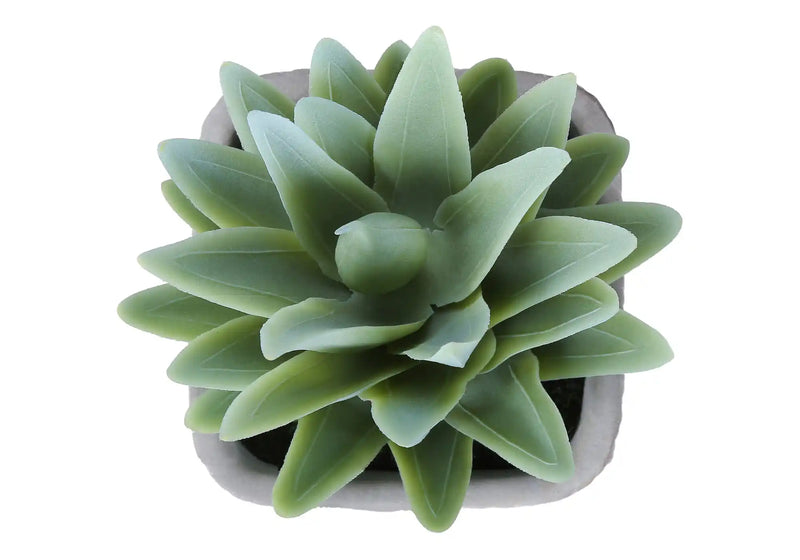 Artificial Plant, Set Of 2, 8' Tall, Succulent, Table, Grey Cement Pots, Contemporary, Modern
