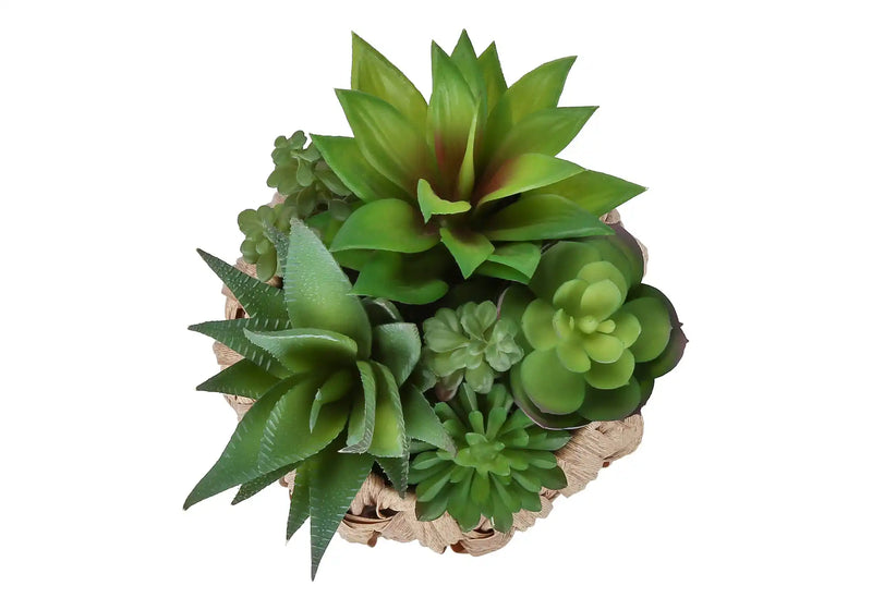 Artificial Plant, Set Of 2, 9' Tall, Succulent, Table, Brown Woven Basket, Contemporary, Modern