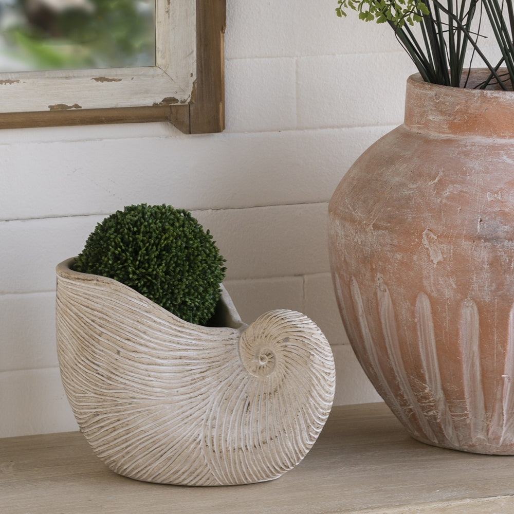 8.5x5.5x6.3' Sand and Cement Nautilus Shell Planter with Textured Beige Finish Media 1
