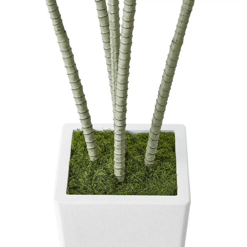 6ft Artificial Dracaena Tree Fake Plant with White Planter Indoor