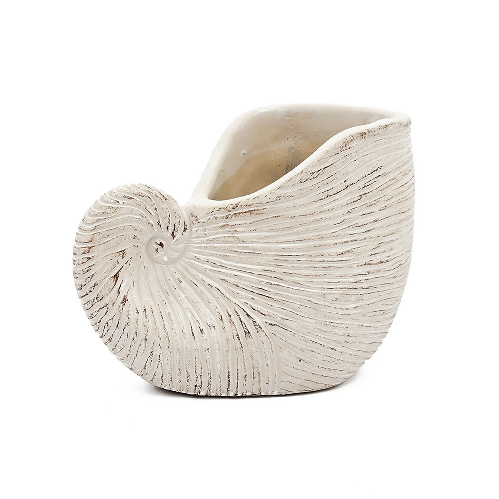 8.5x5.5x6.3' Sand and Cement Nautilus Shell Planter with Textured Beige Finish Media 6