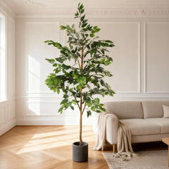 6FT Artificial Ficus Tree with Natural Trunk in Black Plastic Pot for Indoor Home Office Decor, 1pc/set perspective