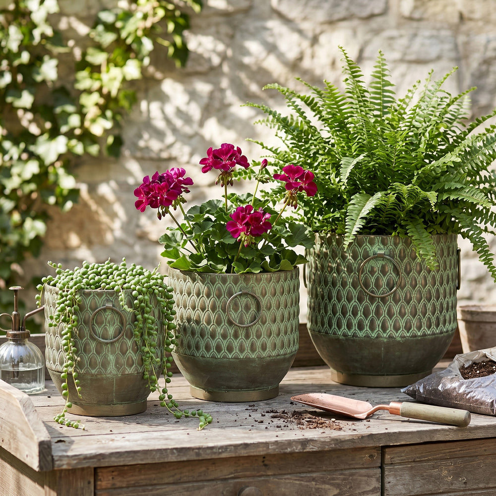 S/3 Textured Green Iron Planters with Tapered Bases Media 1