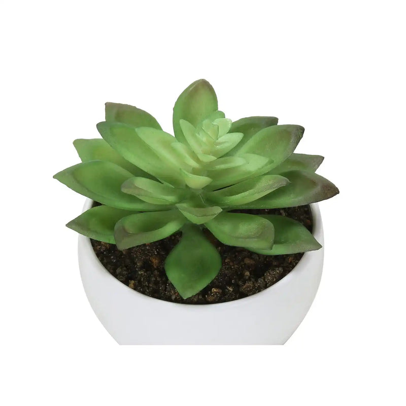 Artificial Succulent Plants Set of 3, 6' Tall, Green Faux Indoor Decor in White Pots, Plastic, Tabletop Greenery
